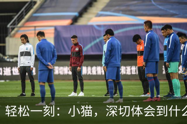 轻松一刻：小猫，深切体会到什么叫心有鱼而力不足~